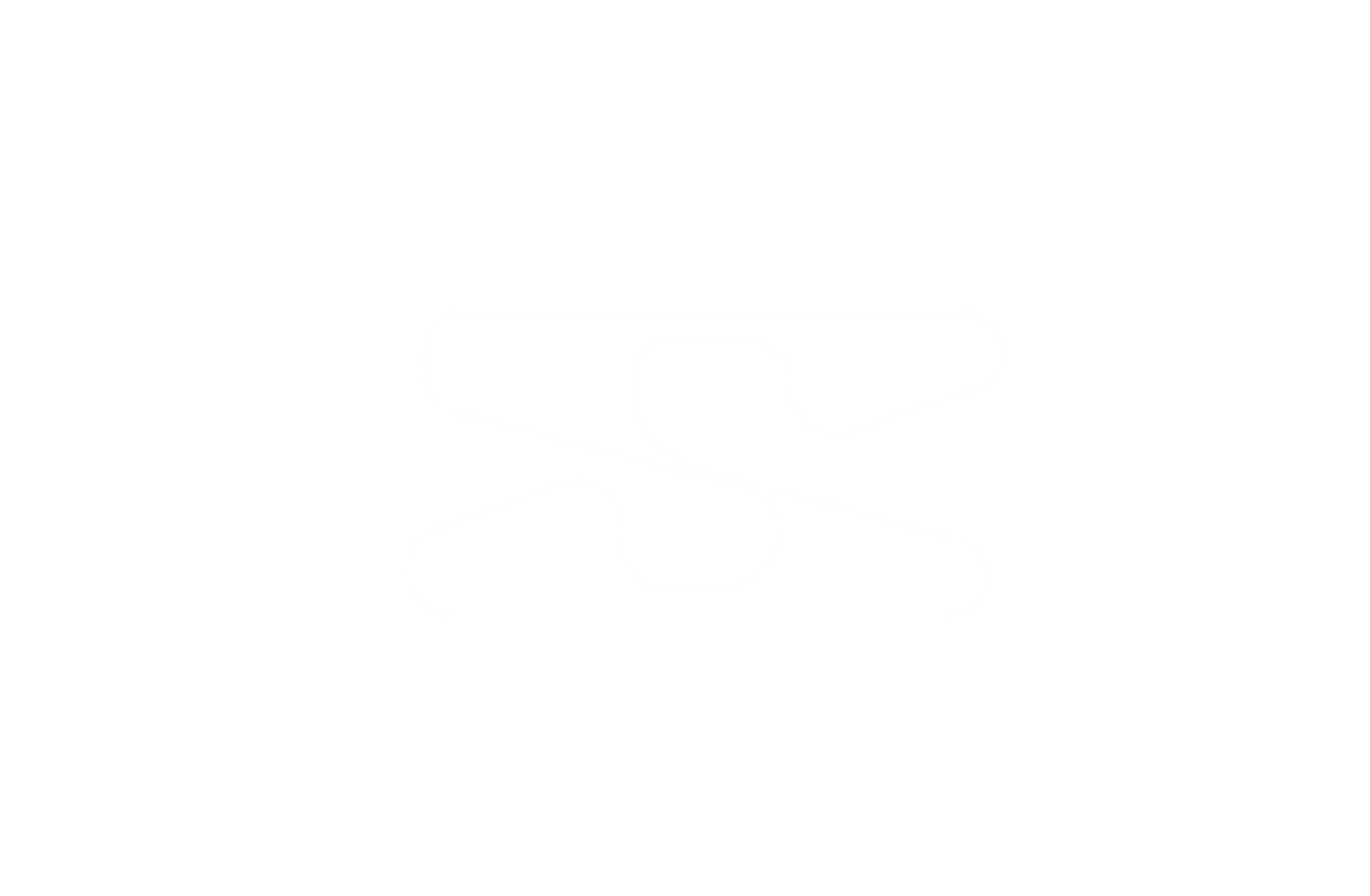 Saiven Logo